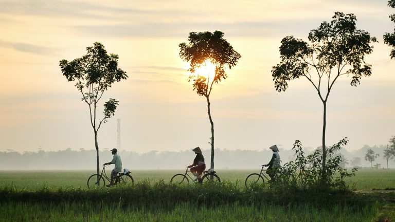 Indonesia: The Ultimate Tropical Paradise for Adventure Seekers