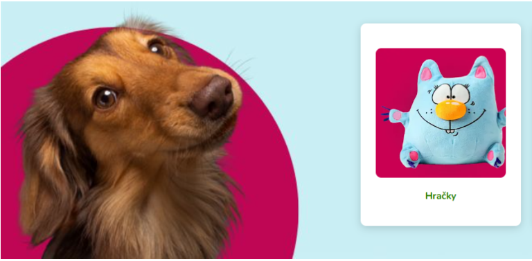 Discover Better Pet Living and Everyday Essentials with zoohit